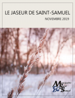 Jaseur novembre 2019